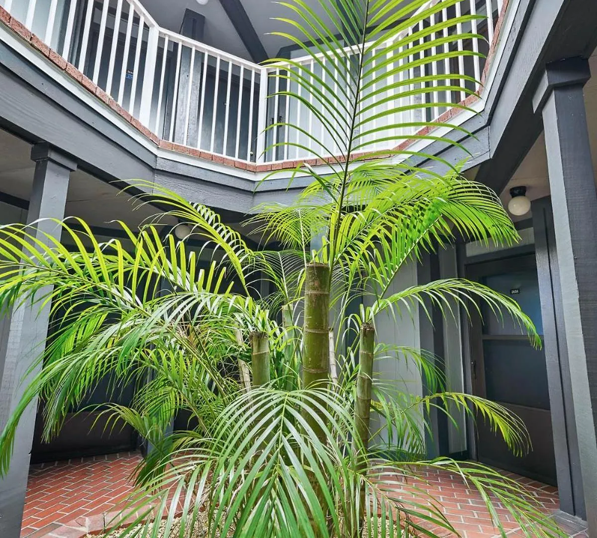 3648 Orlando Vacational Apartment